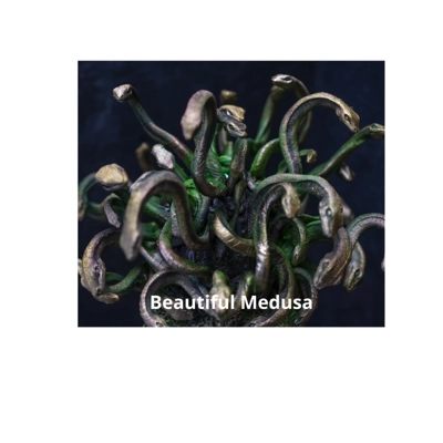 Beautiful Medusa