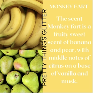 Monkey Fart scented Wax Melt snap bar