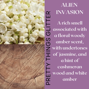 Alien Invasion scented wax melt snap bar