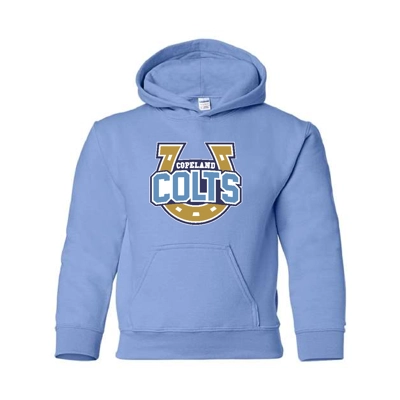 Carolina Blue Shoe Hoodie