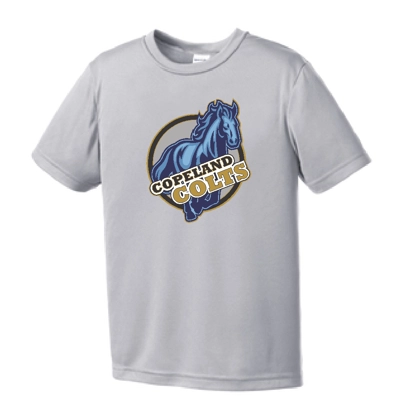 Silver Performance Tee Mare