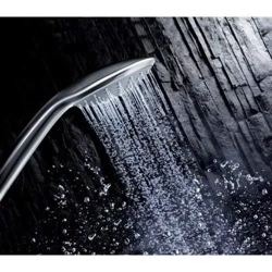 Grohe Euphoria 110 Duo Hand Shower in Starlight Chrome