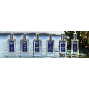 Instyle Fragrances Platinum Collection, Choose Scent, 3.4 oz