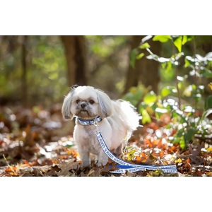 Pets First Collegiate Pet Accessories, Dog Leash (Choose T..