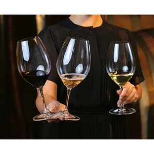 RIEDEL Wine Friendly Red Wine Glass 6422/02-2, Set of 2