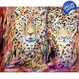LEOPARDS 65X54cm, huile
