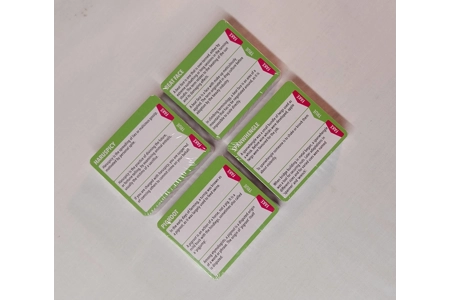 Cheatwell Chimp The Devious Definition Game LIKE NEW