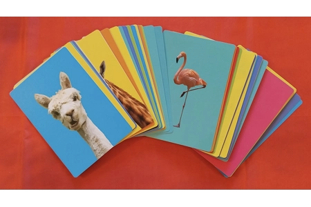 Tomy Deface Race Drawing Game COMPLETE Tomy Deface Race Drawing Game COMPLETE