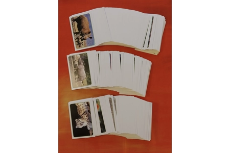 Tactic Wild Animals Of The World Board Game COMPLETE Tactic Wild Animals Of The World Board Game COMPLETE