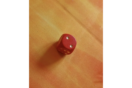 Schmid Dice Puzzle Princess or Pirate Game COMPLETE Schmid Dice Puzzle Princess or Pirate Game COMPLETE