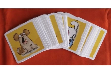 MDR Simon's Cat Lunch Time Card Game COMPLETE MDR Simon's Cat Lunch Time Card Game COMPLETE