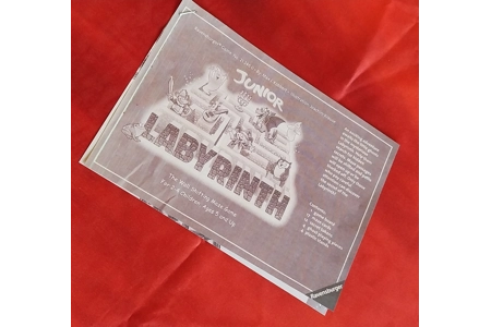 Ravensburger Labyrinth Junior Board Game PLAYABLE Ravensburger Labyrinth Junior Board Game PLAYABLE