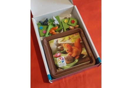 Smart Games Squirrels Go Nuts! Single Player Logic Puzzle Game COMPLETE