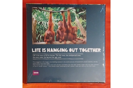 BBC Earth Orangutan 1000 Piece Jigsaw Puzzle NEW BBC Earth Orangutan 1000 Piece Jigsaw Puzzle NEW