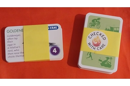 Pants on Fire RSPB Wing It Board Game Birdwatching Challenge COMPLETE Pants on Fire RSPB Wing It Board Game Birdwatching Challenge COMPLETE