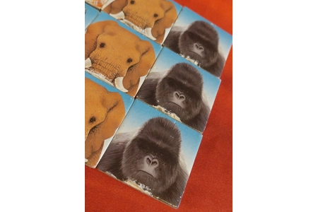 Early Leaning Centre Nature Reserve Save The Animals Vintage Board Game COMPLETE Early Leaning Centre Nature Reserve Save The Animals Vintage Board Game COMPLETE