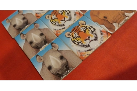 Early Leaning Centre Nature Reserve Save The Animals Vintage Board Game COMPLETE Early Leaning Centre Nature Reserve Save The Animals Vintage Board Game COMPLETE