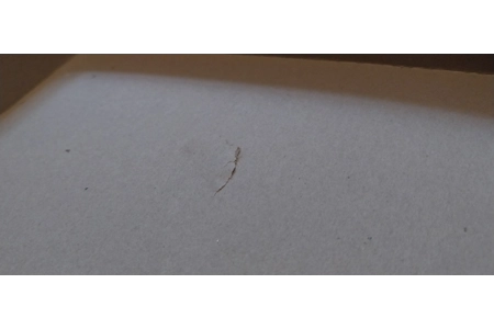 Toyrific Games Treasure Trail Children's Board Game COMPLETE Toyrific Games Treasure Trail Children's Board Game COMPLETE