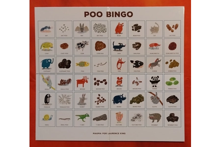 Laurence King Poo Bingo Children's Family Board Game COMPLETE