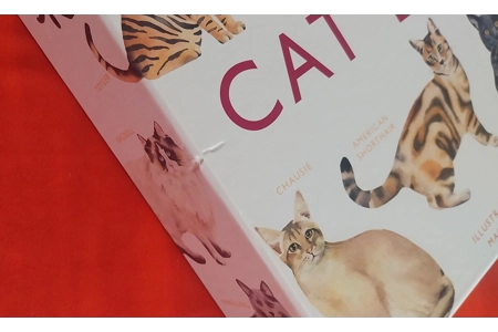 Laurence King Cat Bingo Children's Board Game COMPLETE Laurence King Cat Bingo Children's Board Game COMPLETE