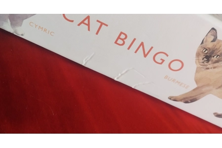 Laurence King Cat Bingo Children's Board Game COMPLETE Laurence King Cat Bingo Children's Board Game COMPLETE