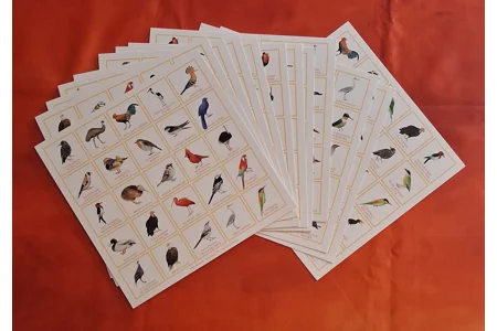 Laurence King Bird Bingo Family Board Game PLAYABLE