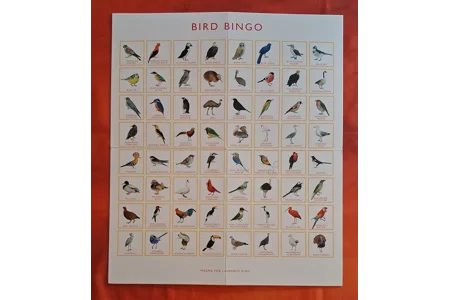 Laurence King Bird Bingo Family Board Game PLAYABLE