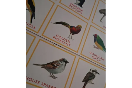 Laurence King Bird Bingo Family Board Game PLAYABLE
