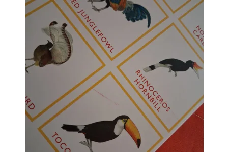 Laurence King Bird Bingo Family Board Game PLAYABLE
