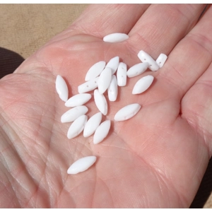 20 Marquis White Nailhead Glass Beads 5mmx3mm 019