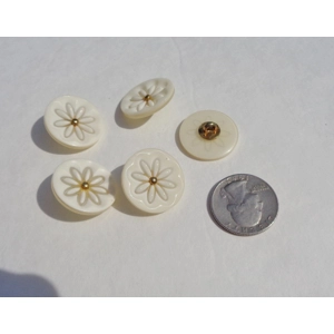 Ivory with Flower Pattern Buttons Round Shank 23mm 15/16 5 Buttons N5