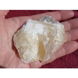 Angel Wing Calcite Raw Crystal Gemstone 3 Inch G