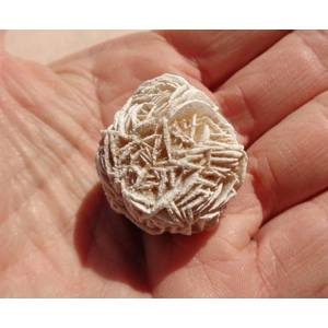 Desert Rose Gypsum 1.25 Inch Raw Rough D