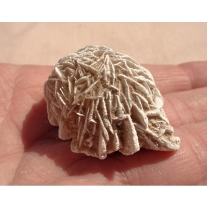 Desert Rose Gypsum 1.625 Inch Raw Rough E
