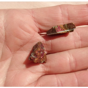 Peacock Ore Raw Bornite 2 Pieces Metalphysical B