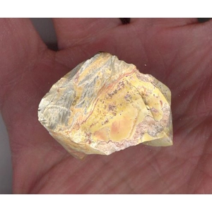 Petrified Wood Raw Stone 1.5 Inch Metaphysical A