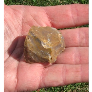 Petrified Wood Raw Stone 1/5 Inch Metaphysical B
