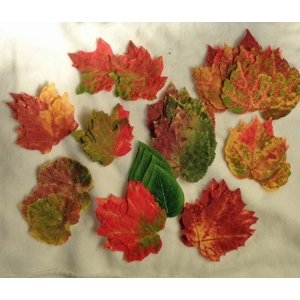 Artifical Silk Leaves Fake Autumn Fall over 60 Pcs