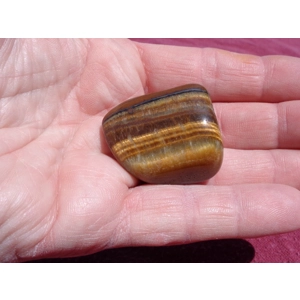 Tiger Eye Tumble Stone Mineral Crystal Metaphysical A