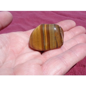 Tiger Eye Tumble Stone Crystal Mineral Metaphysical C