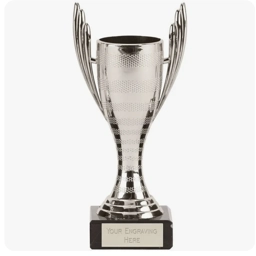 Spotlight Winner Trophy