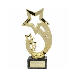 Finalist Trophy