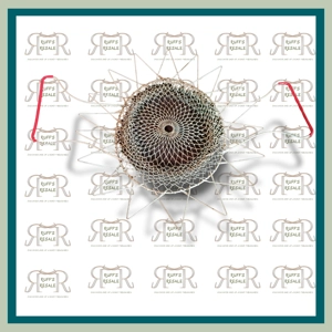 Collapsable Strainer