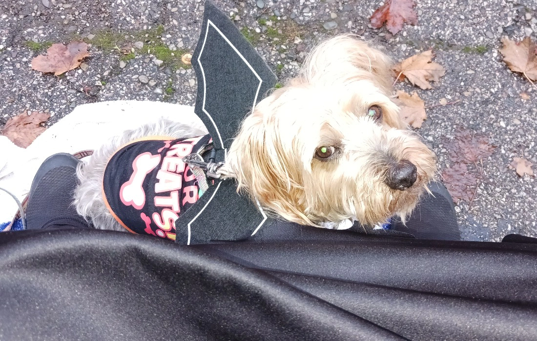 THANKS FOR STOPPING BY