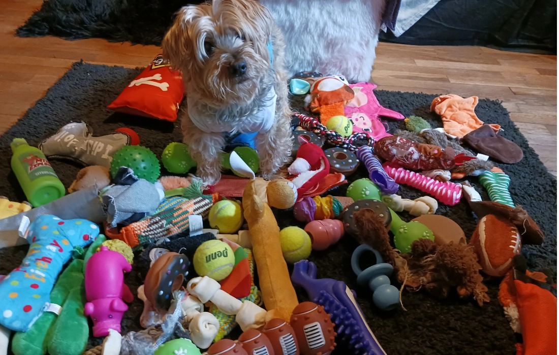 WE GOT TOYS FUR YOUR FUR BABY, TOO!!
