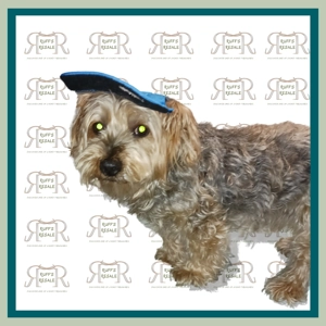 Blue Dog Hat