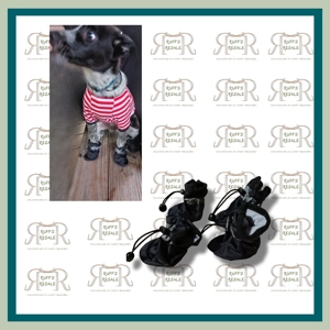 Pet Booties