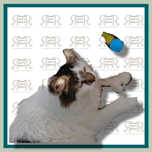 Random Small Pet Toys