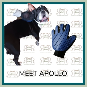 Pet Grooming Glove