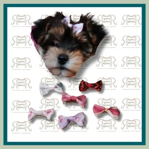 Small Pet Bows